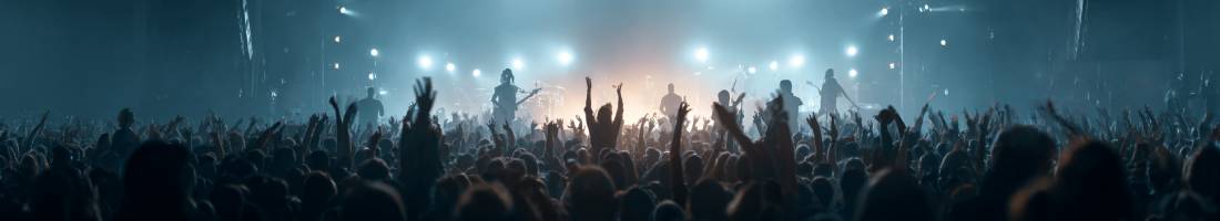 ConcertHub — Live Shows Near You